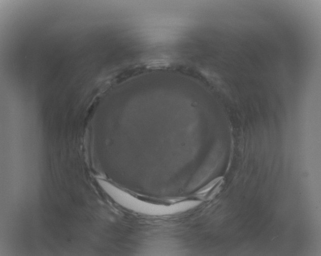 X0000066931445200604141945