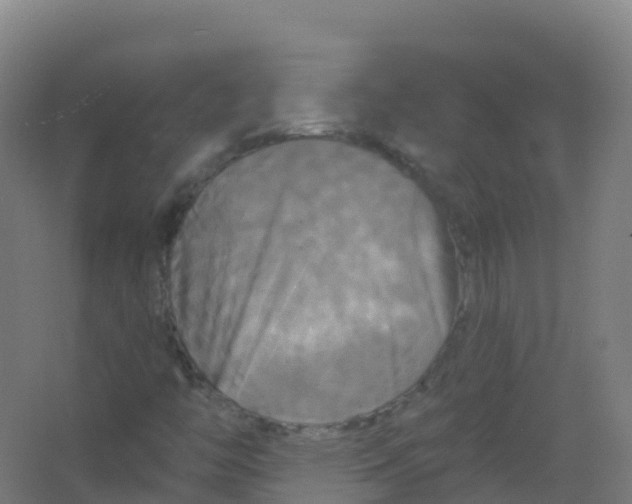 X0000066931446200604141945