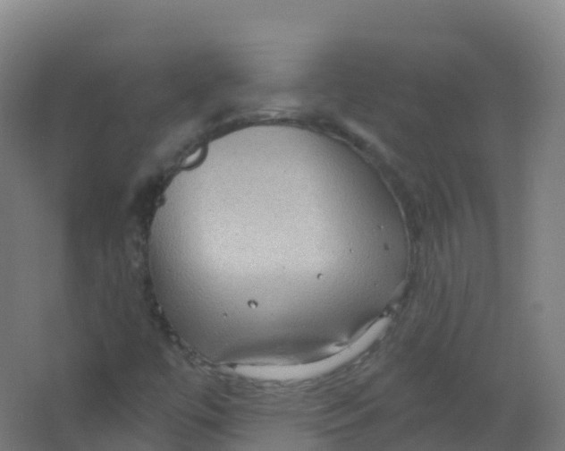 X0000066931447200604141945