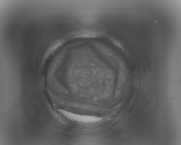 X0000066931448200604141945