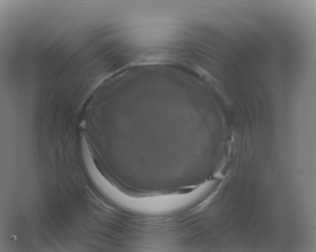 X0000066931449200604141945