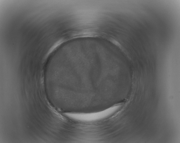 X0000066931450200604141945