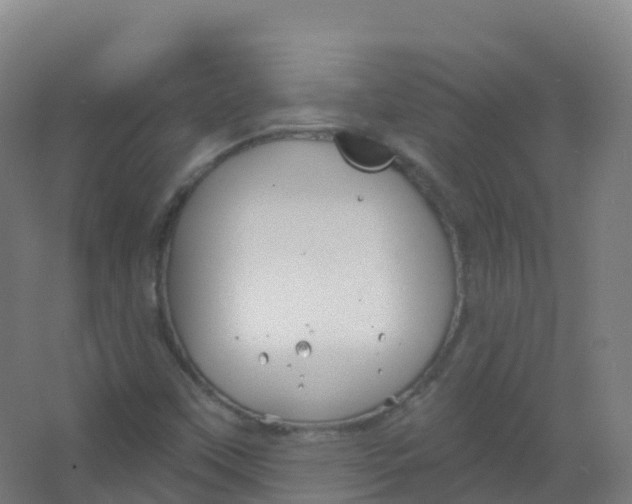 X0000066931451200604141945