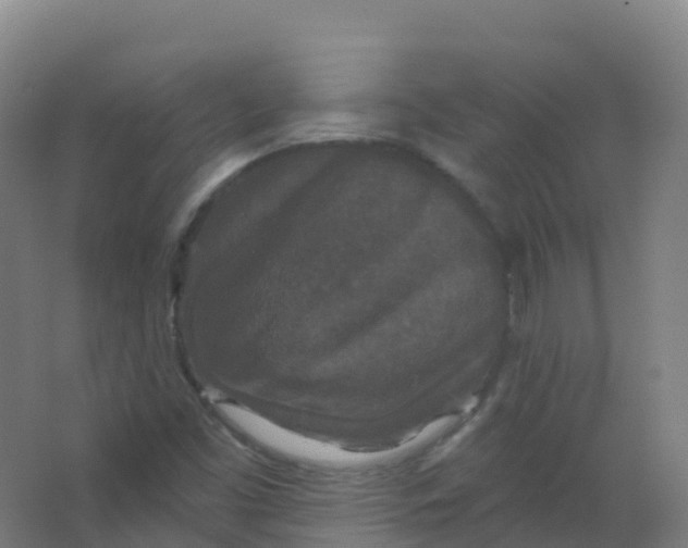 X0000066931453200604141945