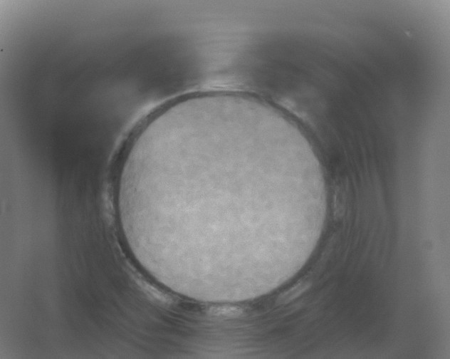 X0000066931454200604141945