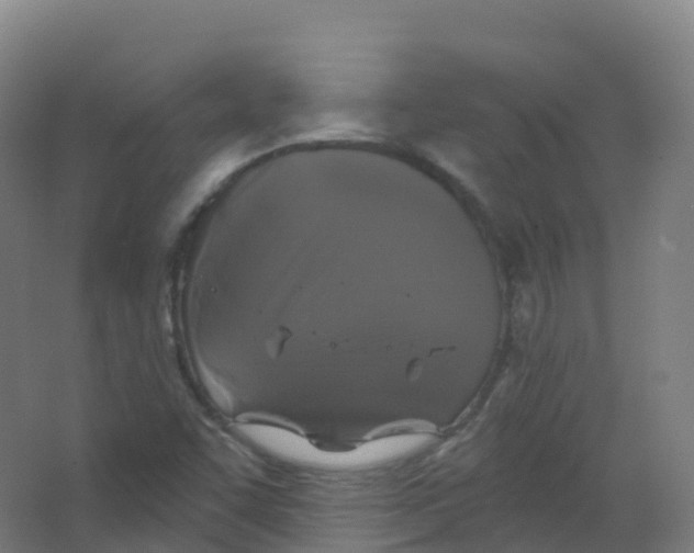 X0000066931455200604141945