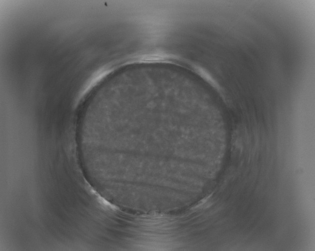 X0000066931456200604141945