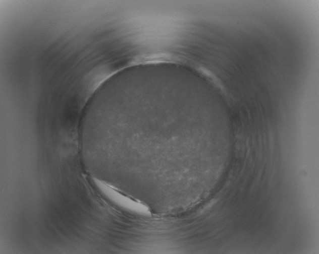 X0000066931457200604141945