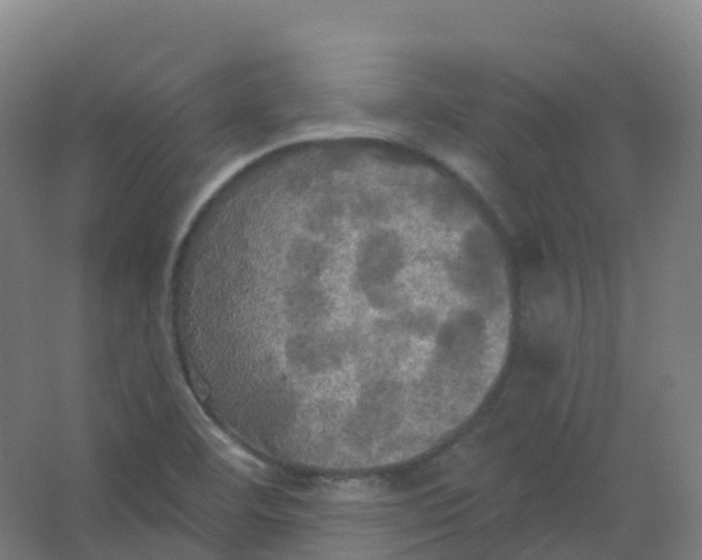 X0000066931460200604141945