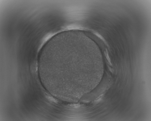 X0000066931461200604141945