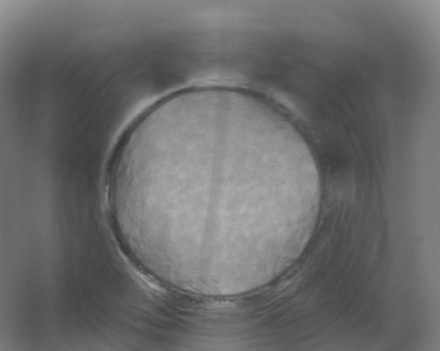 X0000066931462200604141945