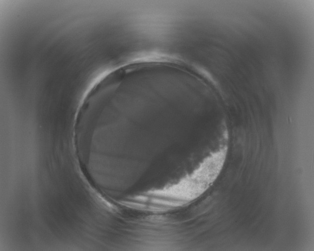 X0000066931463200604141945