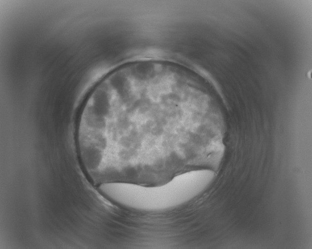 X0000066931464200604141945