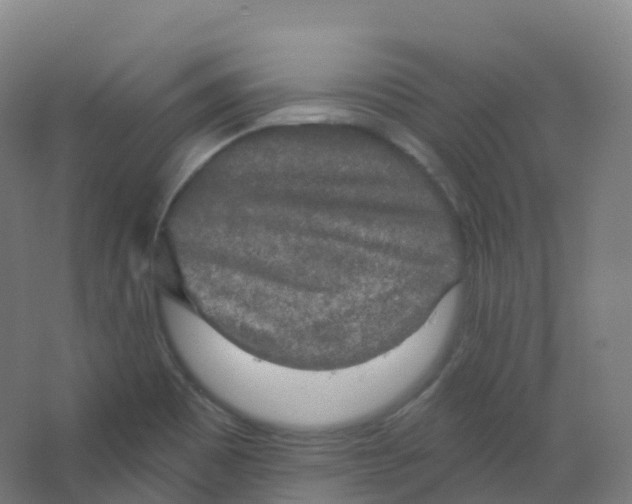 X0000066931465200604141945