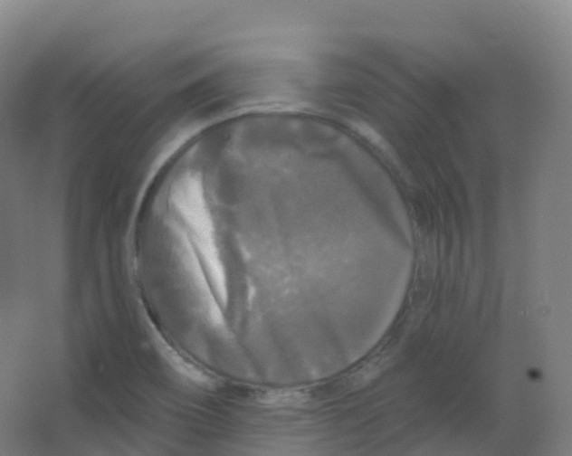 X0000066931466200604141945