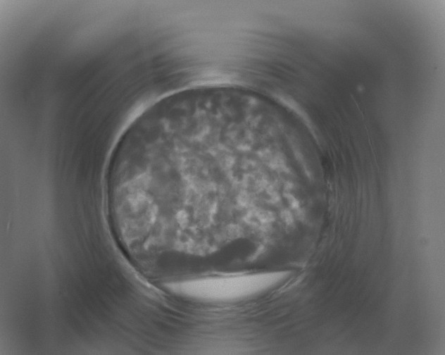 X0000066931467200604141945