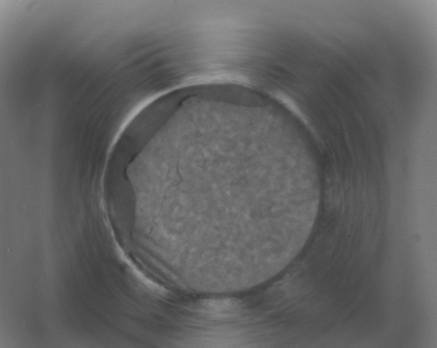 X0000066931468200604141945