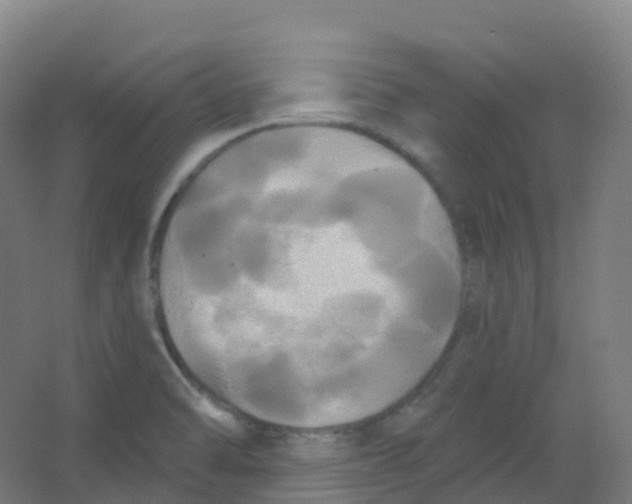 X0000066931470200604141945