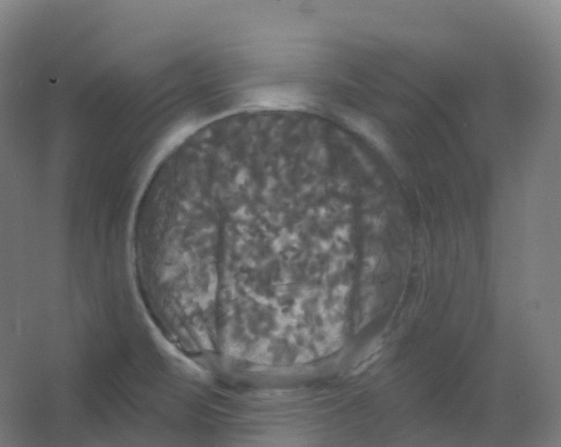 X0000066931471200604141945