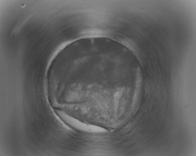 X0000066931472200604141945