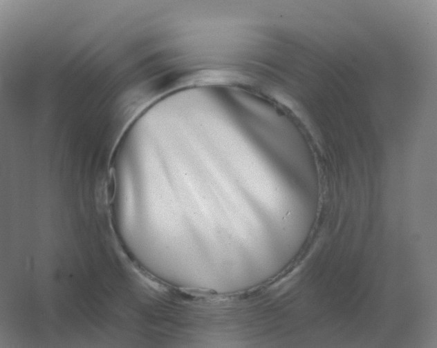 X0000066931473200604141945