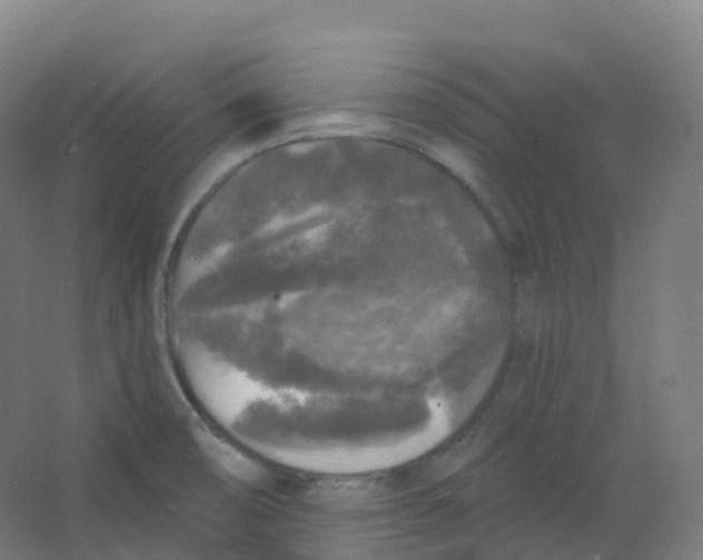 X0000066931474200604141945