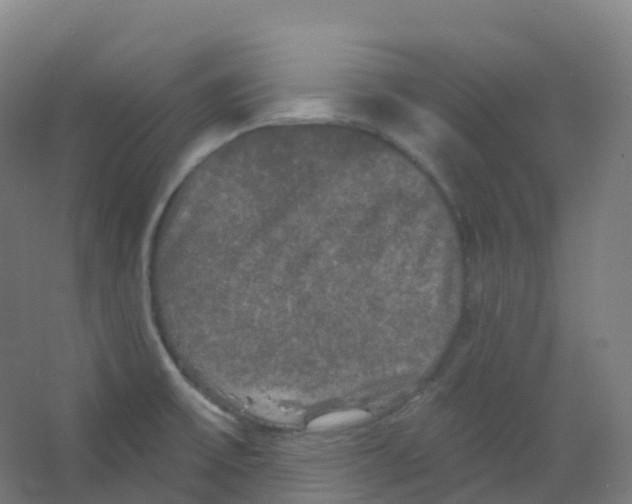 X0000066931475200604141945