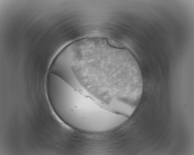 X0000066931476200604141945