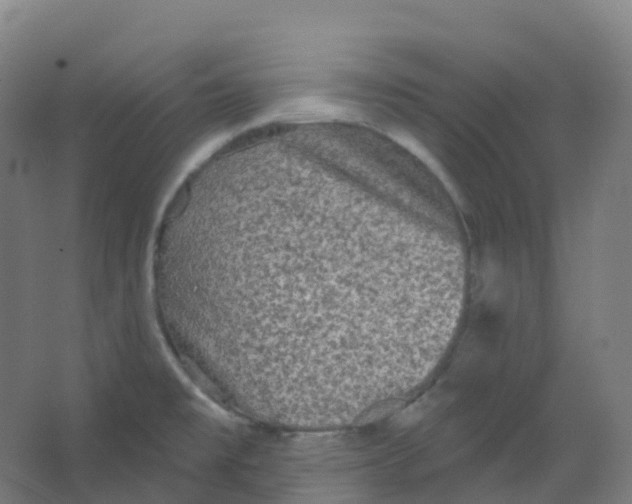 X0000066931477200604141945