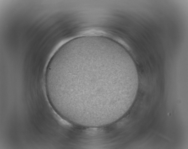 X0000066931478200604141945