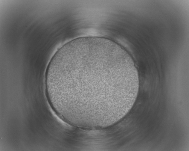 X0000066931479200604141945