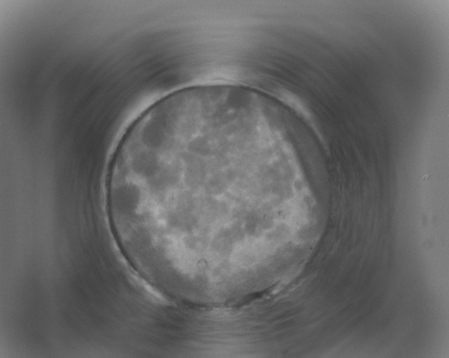 X0000066931480200604141945