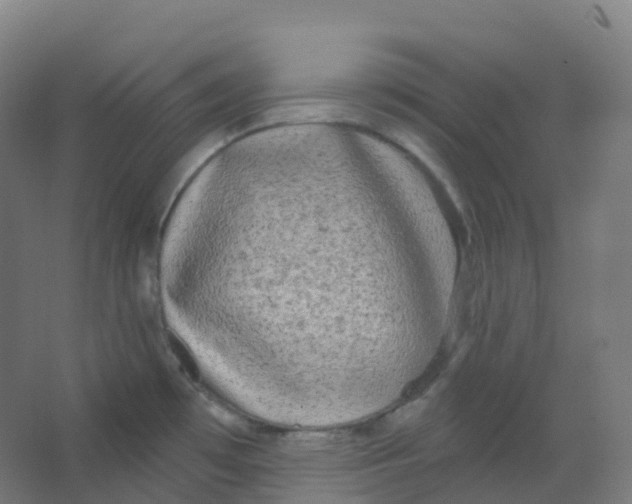 X0000066931481200604141945