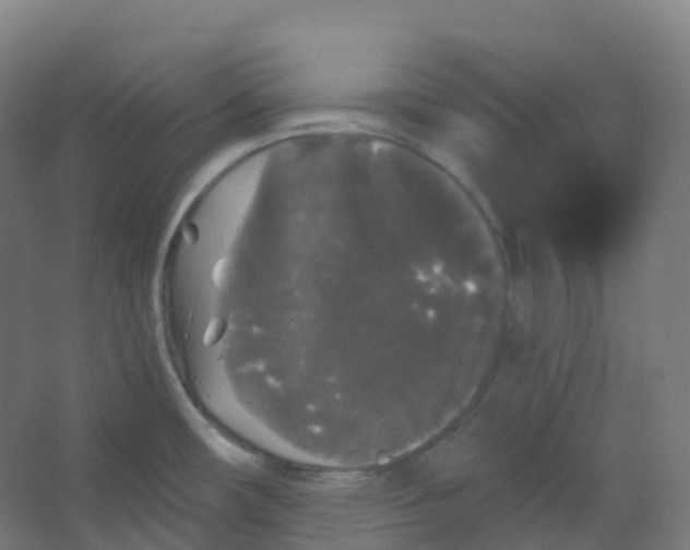 X0000066931482200604141945