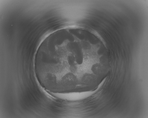 X0000066931483200604141945