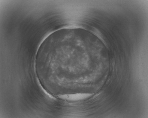 X0000066931484200604141945