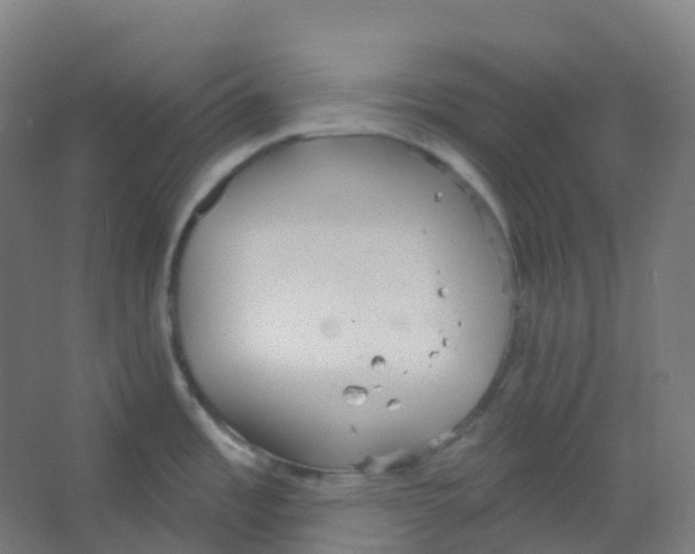 X0000066931485200604141945