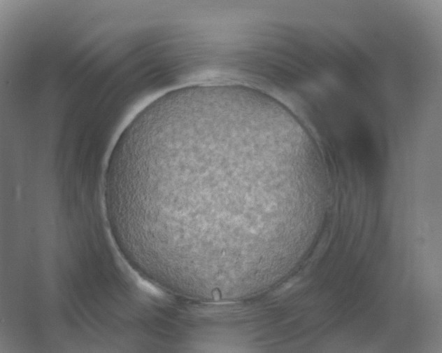 X0000066931486200604141945