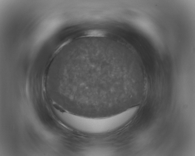 X0000066931487200604141945