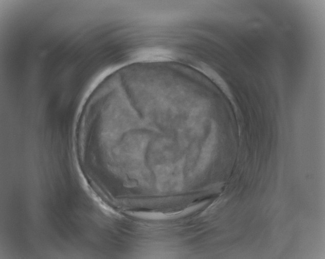 X0000066931488200604141945