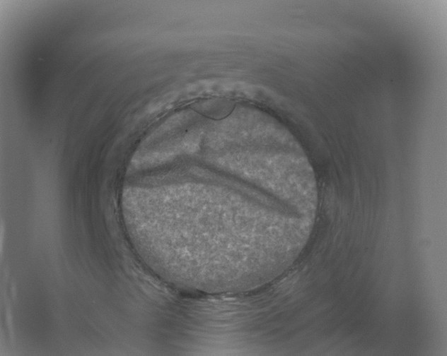 X0000066931489200604141944