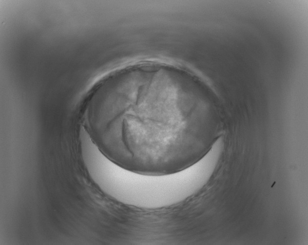 X0000066931496200604141944