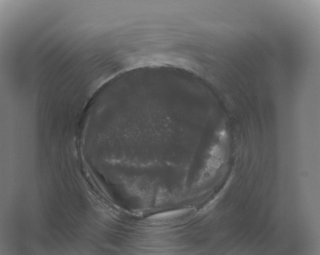 X0000066931497200604141944