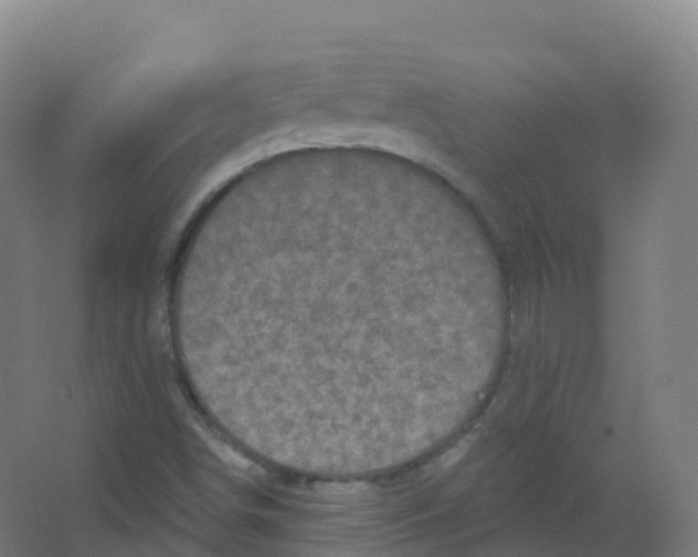 X0000066931498200604141944