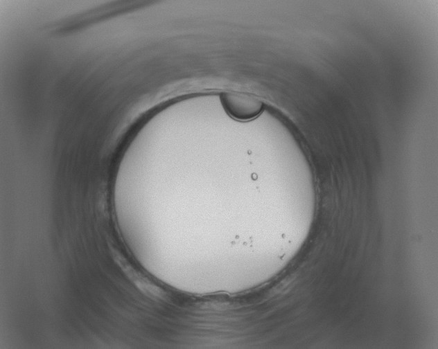 X0000066931499200604141944