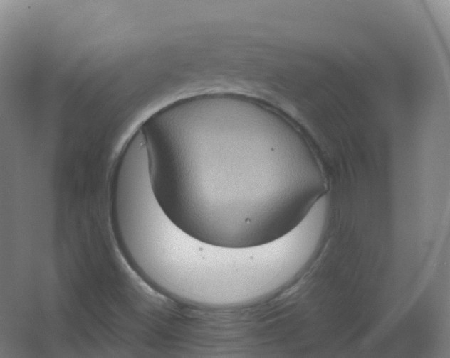 X0000066931500200604141944