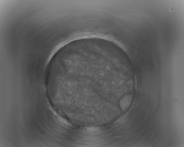 X0000066931501200604141944