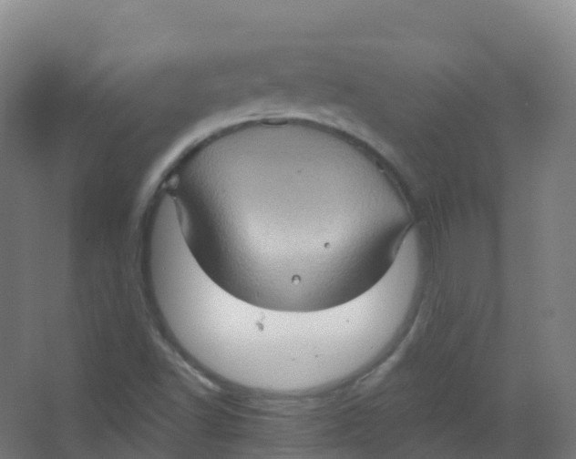 X0000066931502200604141944