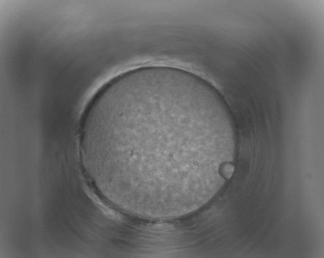 X0000066931503200604141944