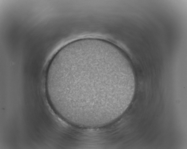 X0000066931504200604141944